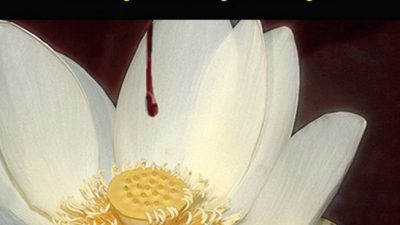 «Кровавая жатва»: кража органов с целью наживы