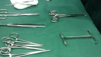 Тело беременной женщины выставлено на жуткой выставке пластинированных тел. Кто она?