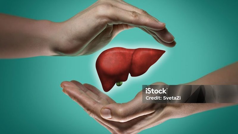 A human liver between two palms of a woman on  blue and green background. The concept of a healthy liver. | Epoch Times Media