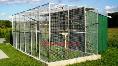 Что нужно, чтобы построить красивый птичий вольер