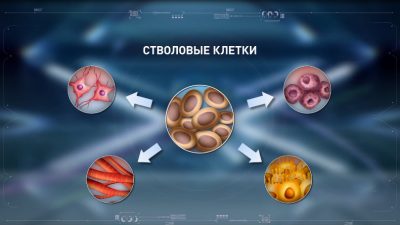 Клиники стволовых клеток и их грязные секреты