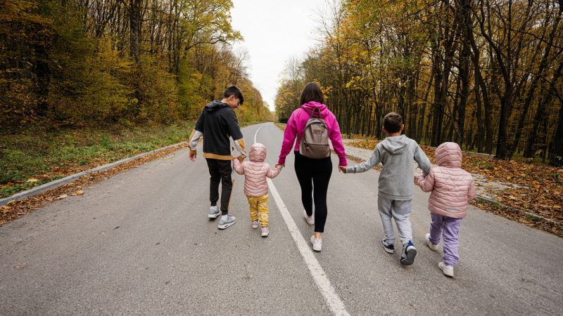 Вместо учебников — приключения