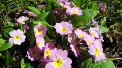 Победители «Евровидения» сняли клип в разрушенных городах Украины