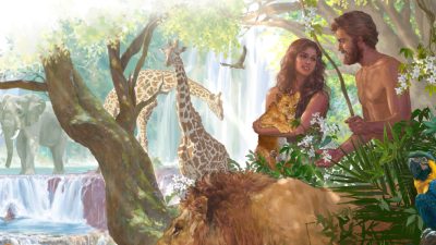 Падение и взлёт мужчины и женщины