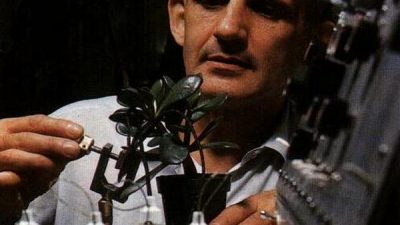 Природа обладает разумом: этому есть потрясающие доказательства (видео)