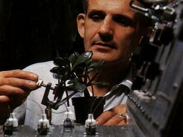 Эффект Бакстера: У растений есть эмоции. Клив Бакстер подсоединяет к аппарату комнатный цветок, чтобы записать его реакцию в ответ на разные формы, воздействия. Фото сайта anamalia.ru | Epoch Times Media