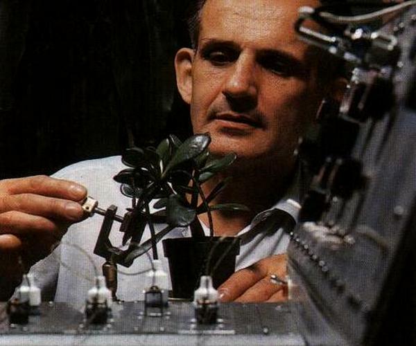 Природа: всё обладает сознанием, эмоциями, чувствами и умеет мыслить, они здороваются и разговаривают с тобой