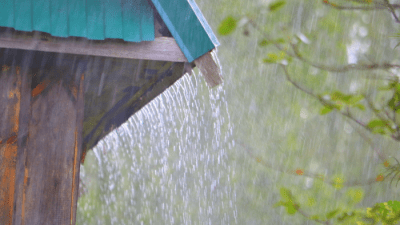 Илон Маск посетит Игл-Пасс, где рекордное количество незаконных переходов