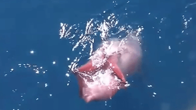 В 77 лет фигура как в 30 (видео)