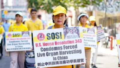 После публикации свидетельств о насильственном изъятии органов в Китае американский сайт подвергся кибератаке