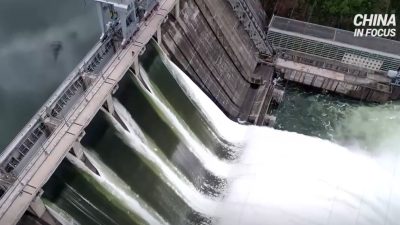 Троянский конь (видео)