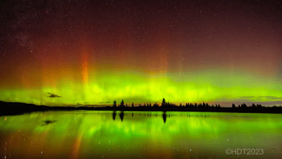 Одни бальзамировщики говорят о появлении белых фиброзных сгустков, другие — о теории заговора
