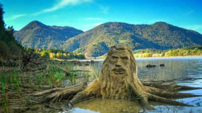 Природный дух есть во всём: природа и растения понимают человеческие намерения