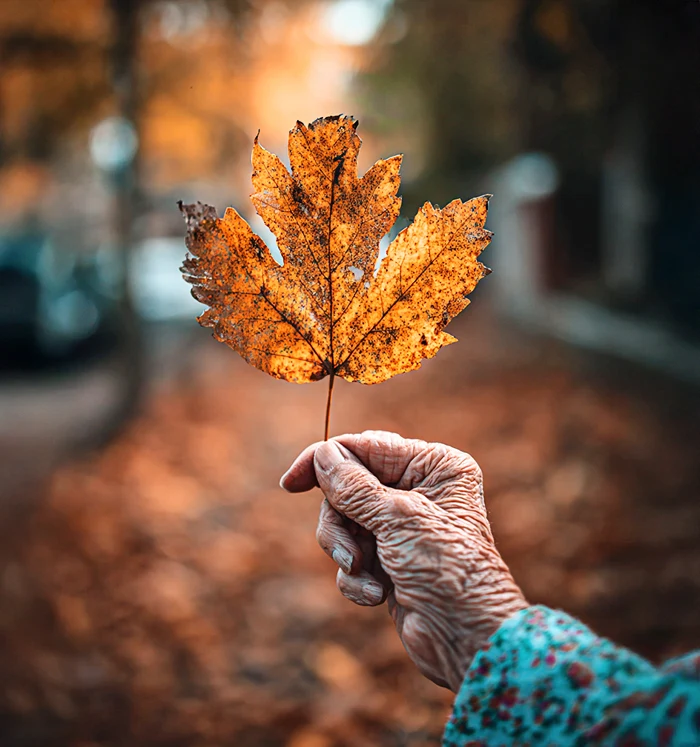 Многие задаются вопросом, правильно ли вообще бороться за вечную жизнь. Писателю К. С. Льюису приписывают высказывание: «Тот, кто жаждет вечной молодости, окажется в ловушке вечного детства». Фото: журнал Epoch