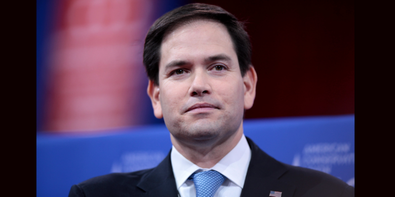 Осуждение насильственного извлечения органов у узников совести в Китае