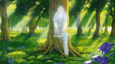 Доброта ко всему сущему