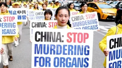 Китайский рынок трансплантации базируется на органах последователей Фалуньгун