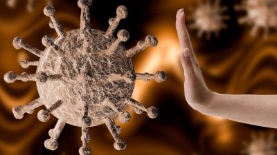 Естественные защитные механизмы организма как основа защиты от вирусов