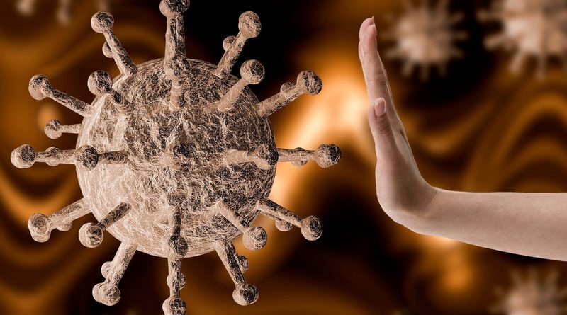 Естественные защитные механизмы организма как основа защиты от вирусов