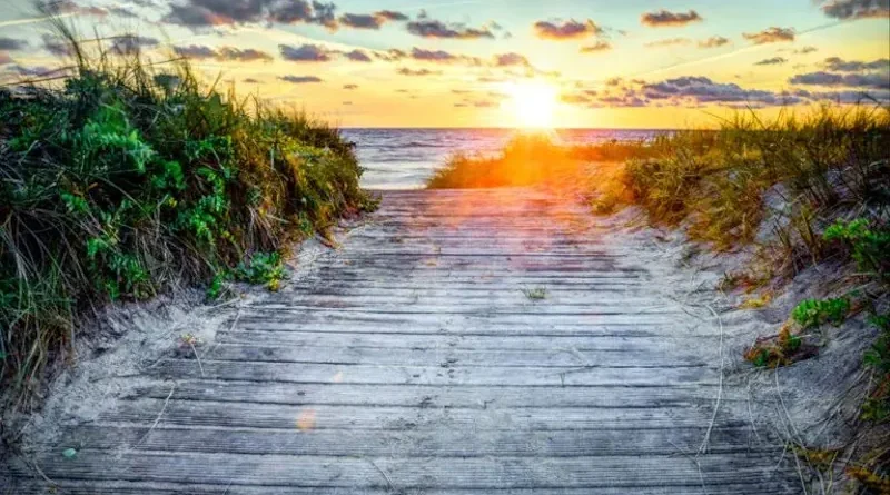 Уроки сострадания