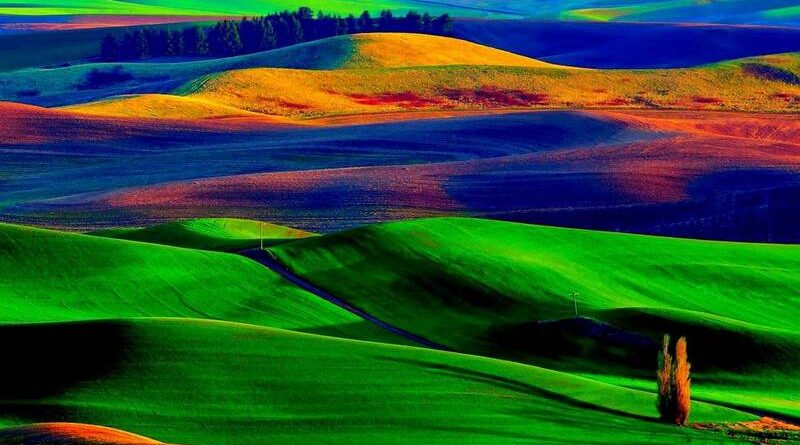 Как цвета влияют на человека: психология восприятия и скрытые механизмы воздействия