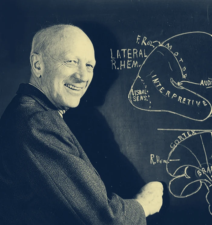 канадский нейрохирург Уайлдер Пенфилд