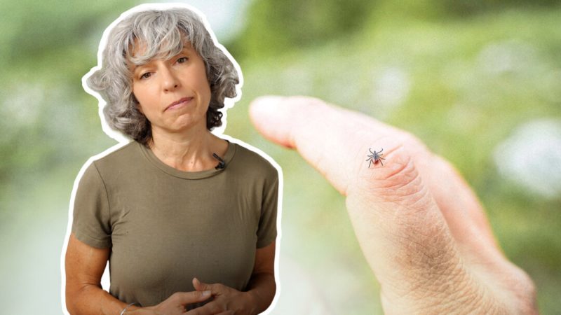 Как избежать укусов клещей этим летом