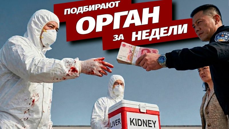 Заказные убийства ради трансплантации в Китае
