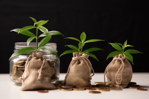 Если деньги распределить, это может способствовать развитию. (jd8/Shutterstock) | Epoch Times Media