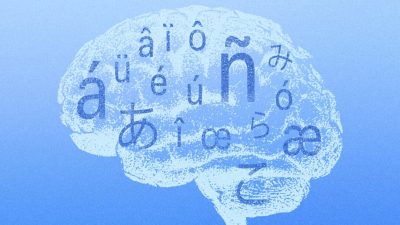 Владение другими языками связано с тем, что мозг «моложе» на 13 лет