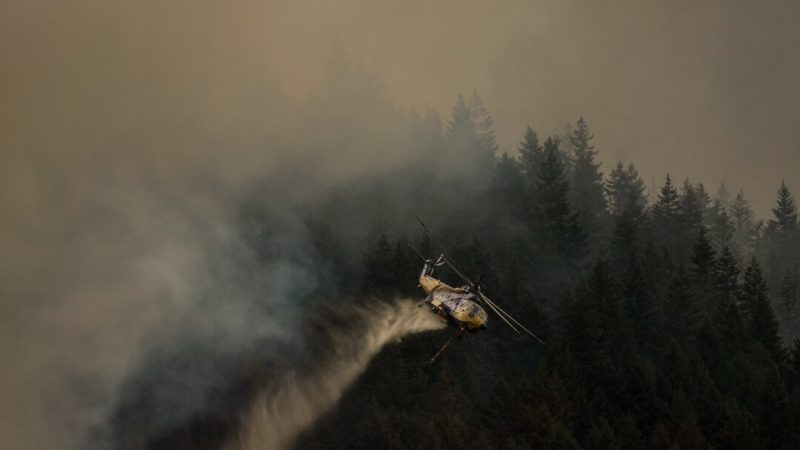 Пожар в Бостон-Бар уничтожает все больше домов, а число лесных пожаров в Британской Колумбии резко возросло