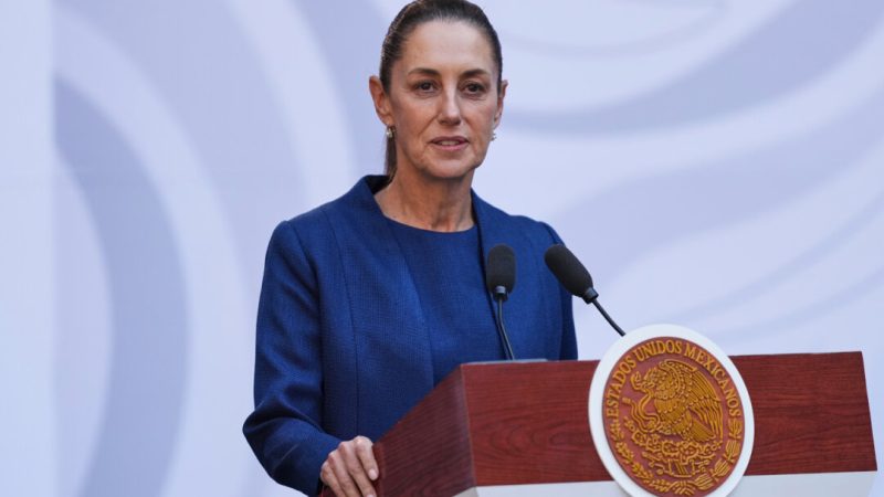 Шейнбаум заявляет, что практикует цигун, и предлагает создать Мексиканскую федерацию цигун