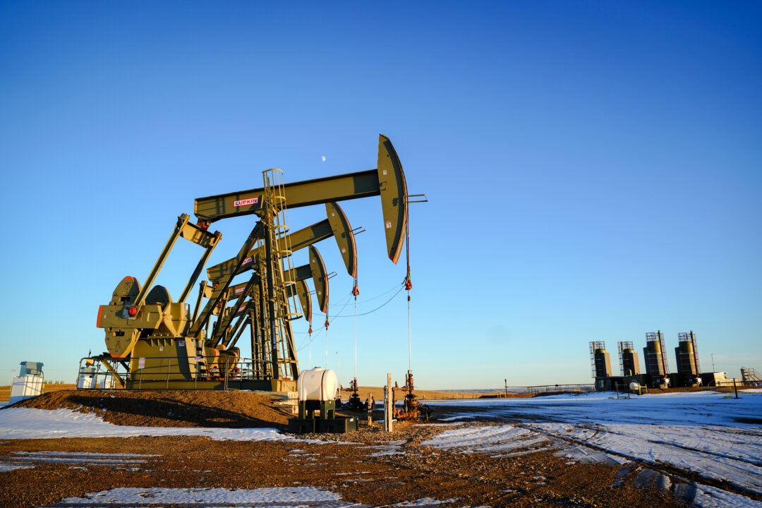 Насосные установки на нефтяном месторождении в Уиллистоне, Северная Дакота, 21 декабря 2023 года. (Мадалина Василиу/The Epoch Times) | Epoch Times Media