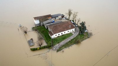 Наша потребность в любви в эпоху «черной таблетки»