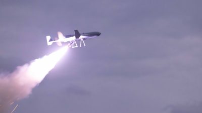 США создают многонациональную оперативную группу по разработке ударных беспилотников для Ближнего Востока