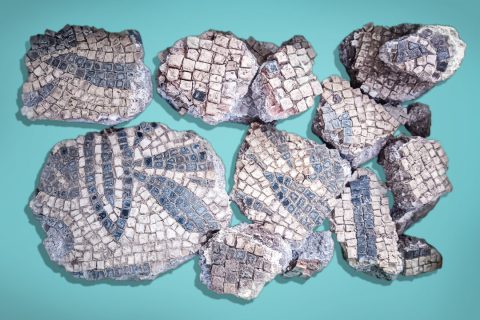 Роскошные мозаики были обнаружены на вилле Челимонтана в Риме после того, как рабочие обнаружили сооружение возрастом 1900 лет, которое, как полагают, является древней военной пожарной станцией. (Управление печати Специального управления Рима) | Epoch Times Media