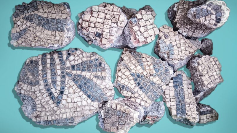 Археологи обнаружили мозаики возрастом 1900 лет в роскошно украшенном здании древнеримской пожарной станции