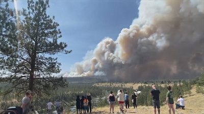 Масштабные лесные пожары в штате Вашингтон уничтожили сотни домов