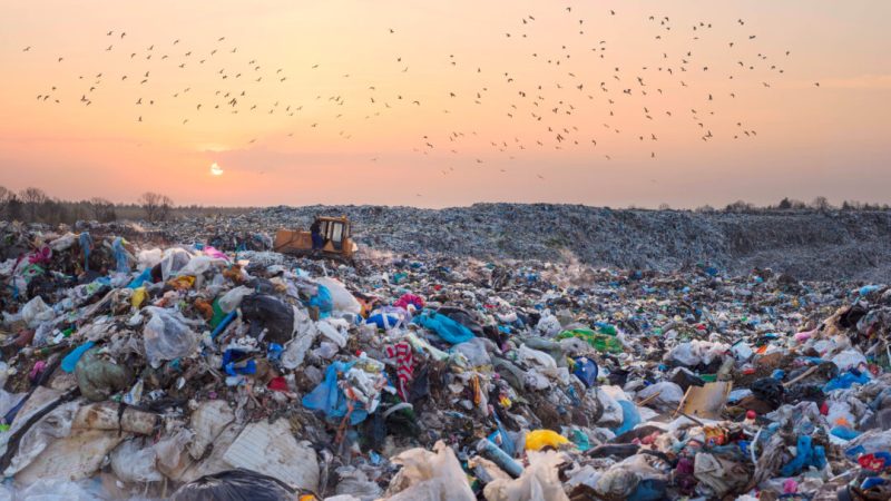 Чайки пролетают над мусорной свалкой в Европе. (Роман Михайлюк/Shutterstock)
