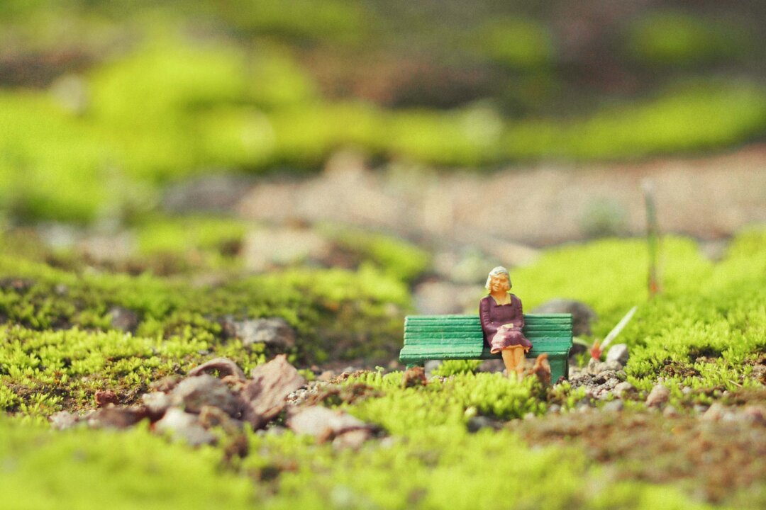(awstoys/Shutterstock) | Epoch Times Media