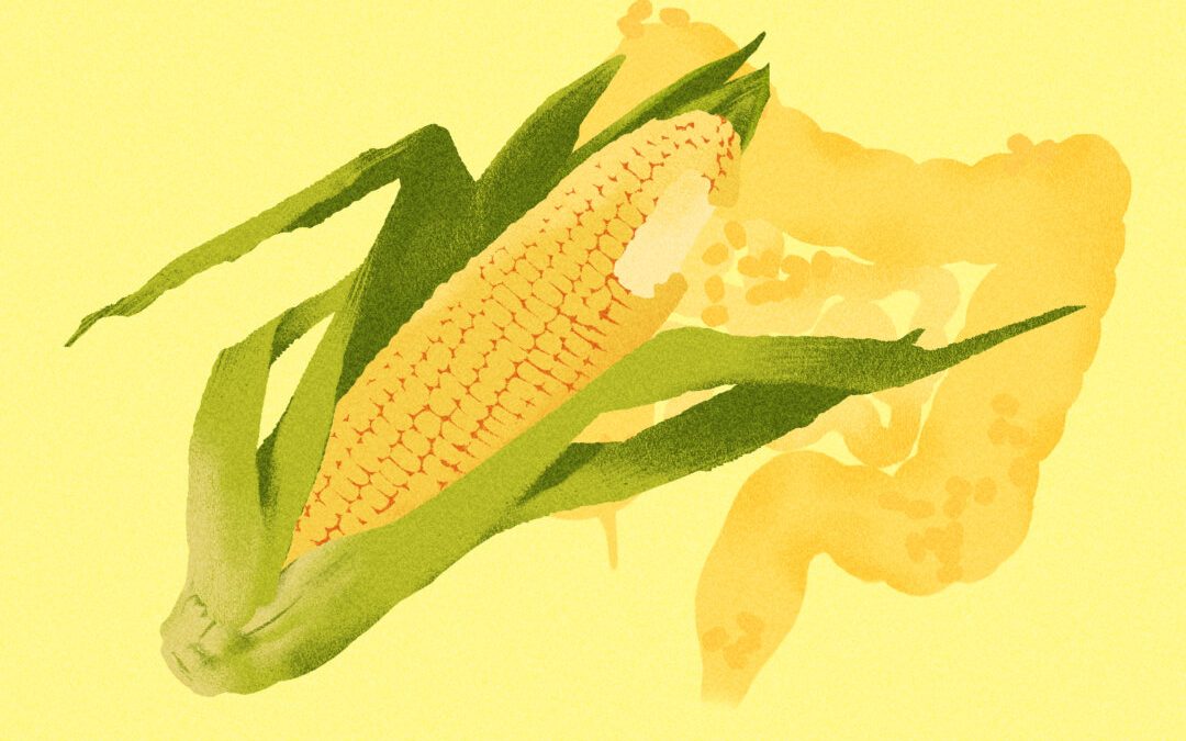 Кукуруза: основной продукт питания с 9000-летней историей и тремя главными преимуществами для здоровья